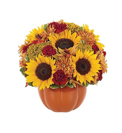 Thanksgiving Pumpkin Celebration