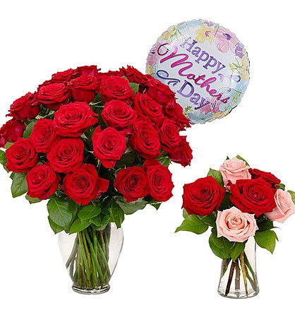 Red Roses Bundle