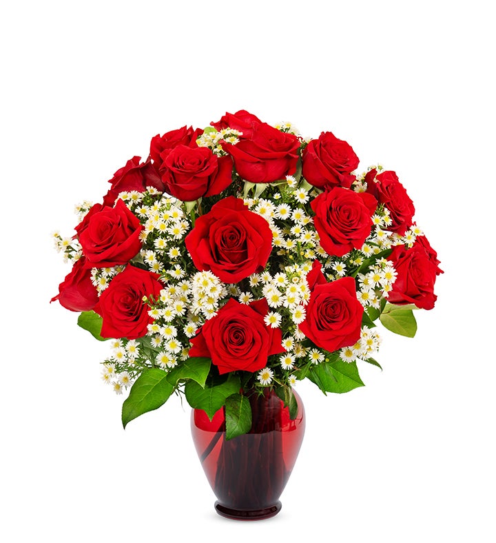 Magnificent Rose®