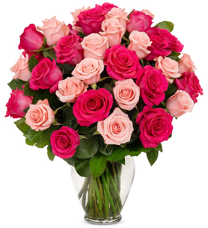 Sweetest Pink Roses, 36 6 Stems