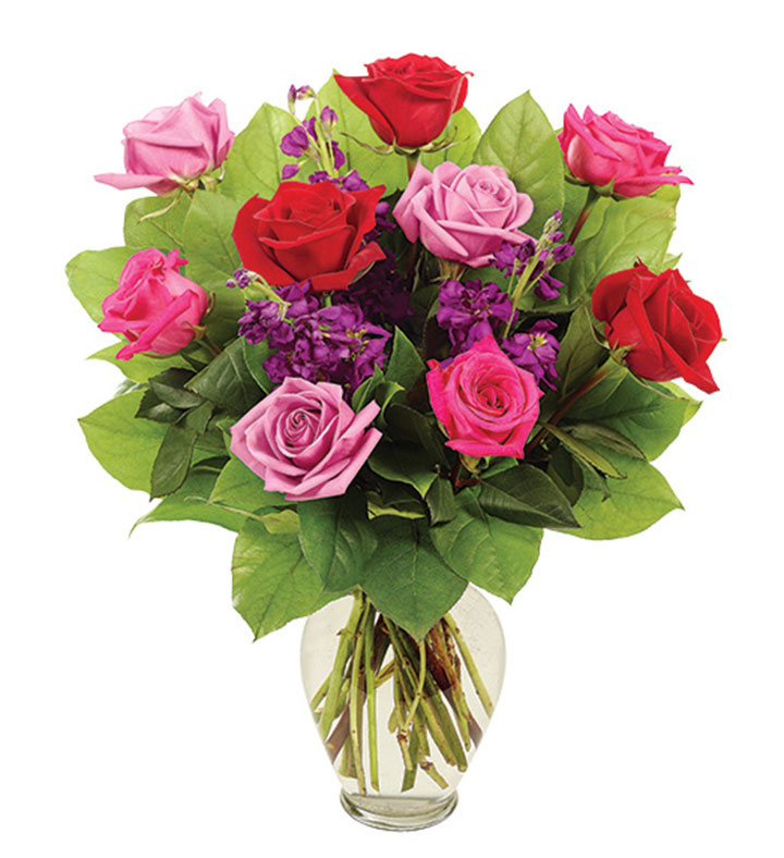 Radiant Roses, 9-12 Stems