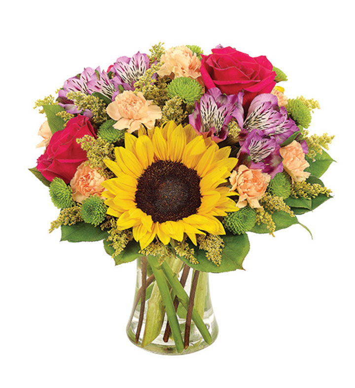 Sunflower Celebration