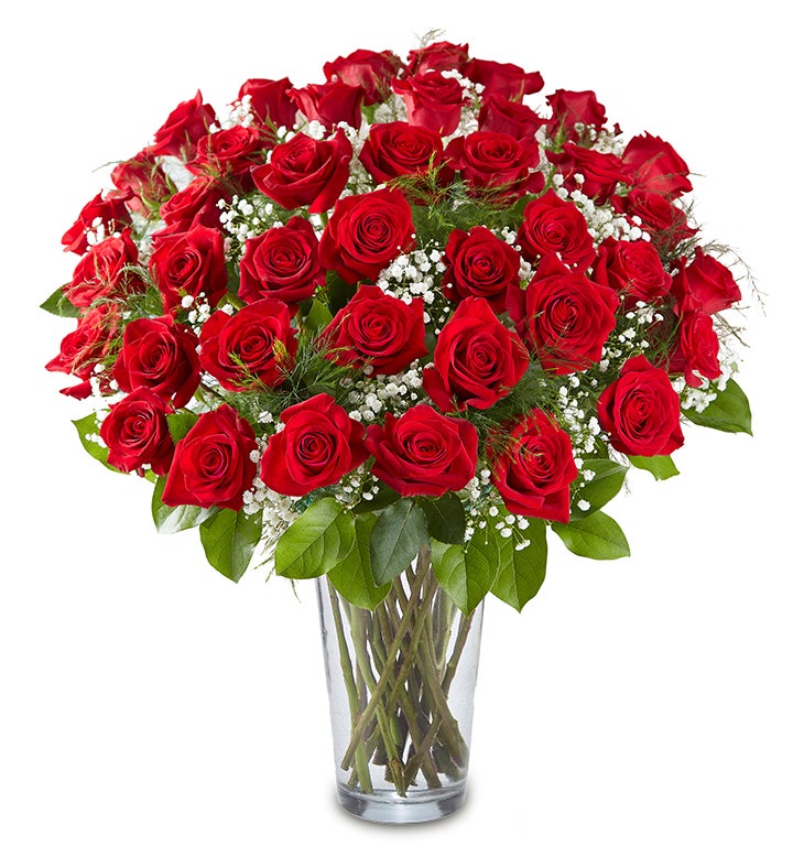 Red Rose Bouquet, 12 48 Stems