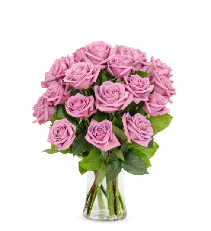 Purple Roses, 12 24 Stems