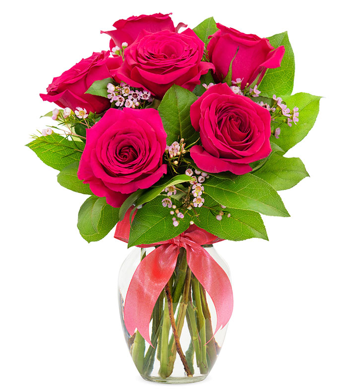 Hot Pink Roses, 6 36 Stems