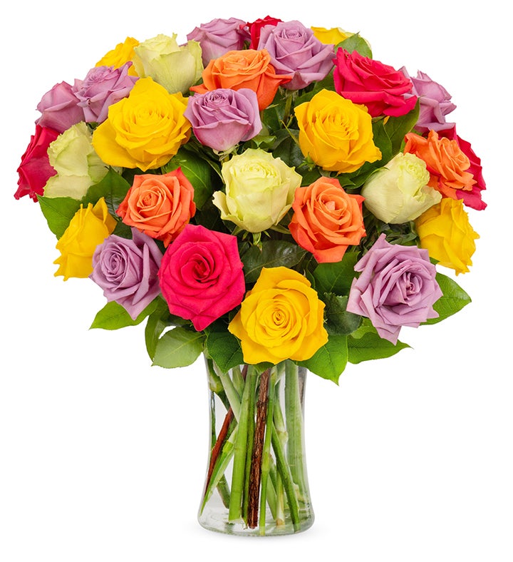 Assorted Bright Roses, 12 36 Stems