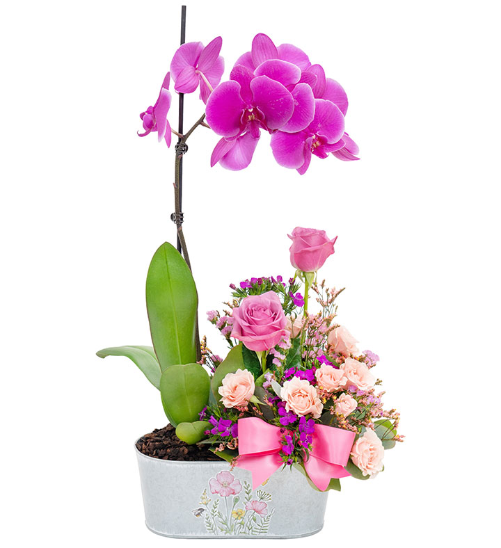 Orchid Elegance for Mom™