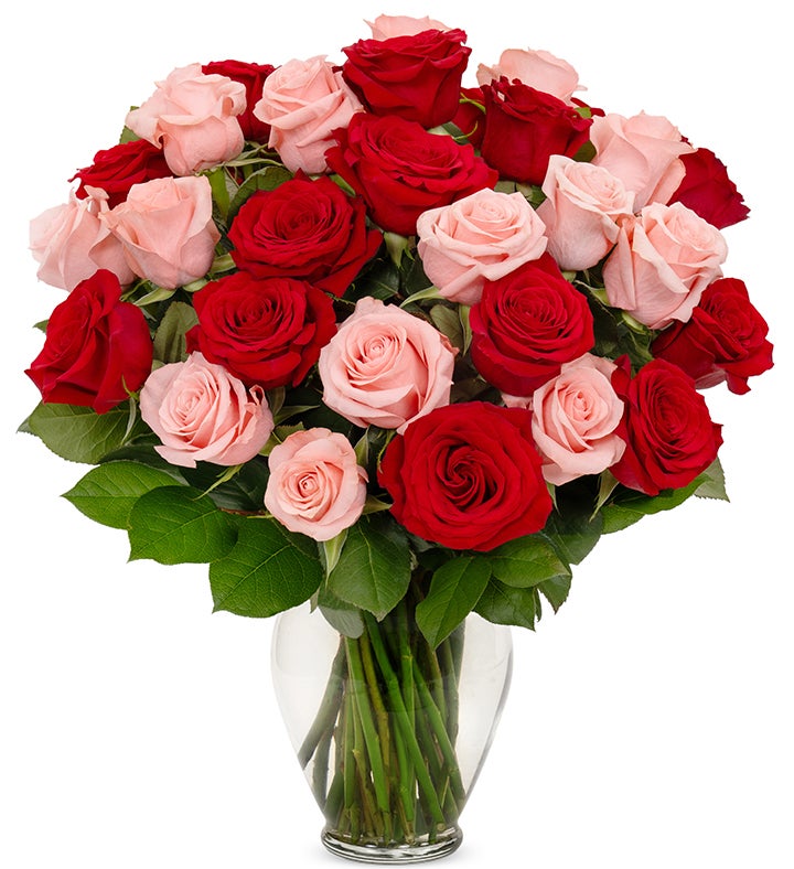 Red & Pink Roses 6 Stem   36 Stem