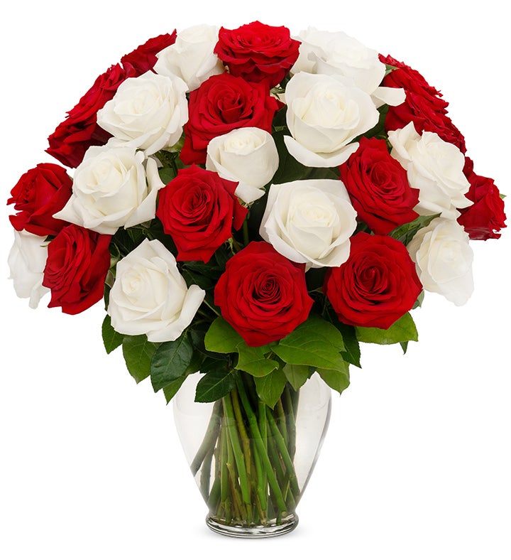 Red & White Roses, 6   36 Stems