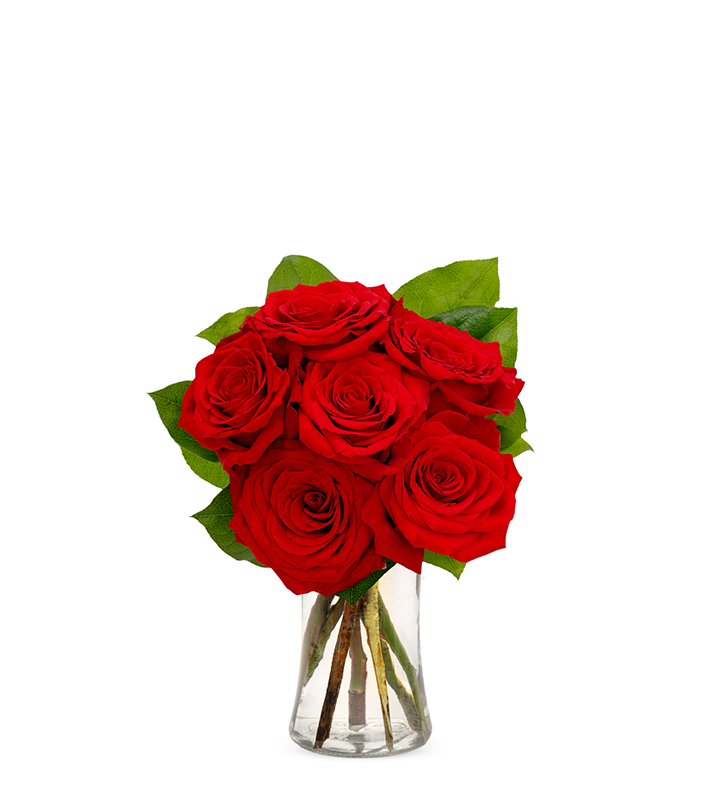 Red Roses