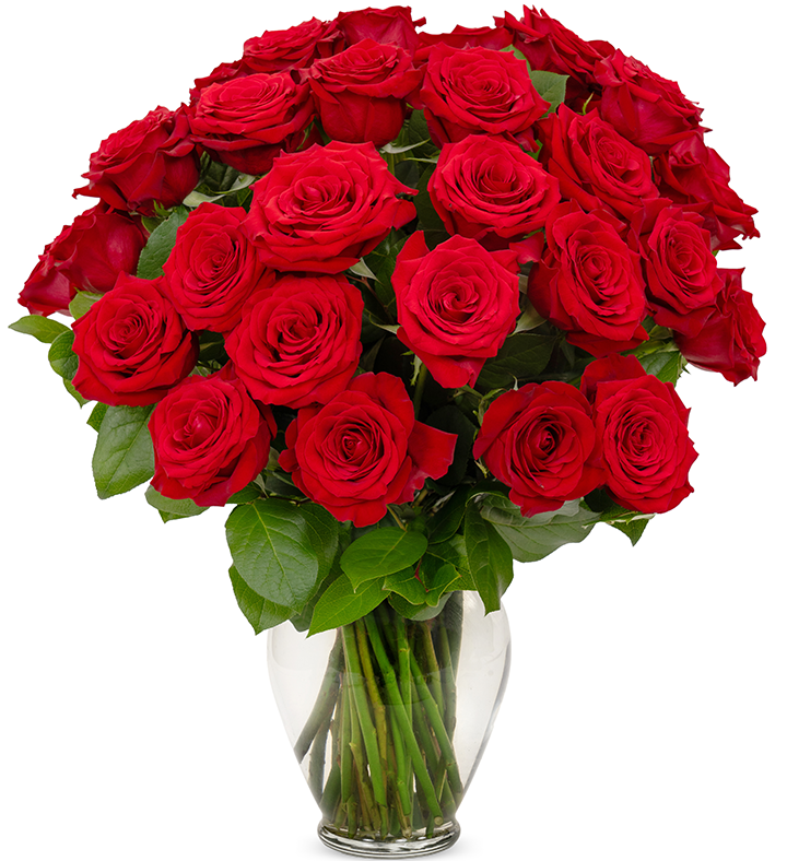 Classic Red Roses, 36 6 Stems