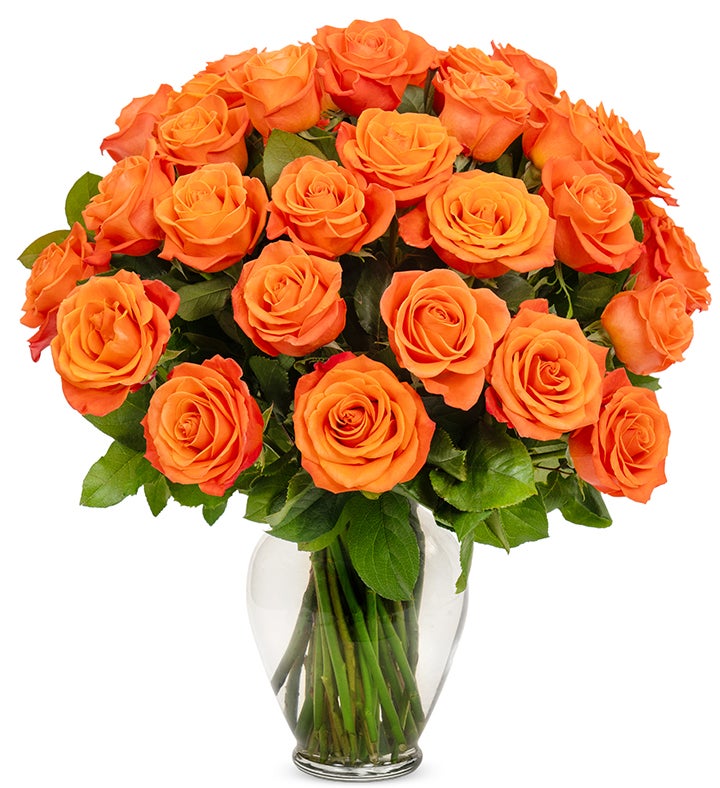 Orange Roses 6 Stem   36 Stem