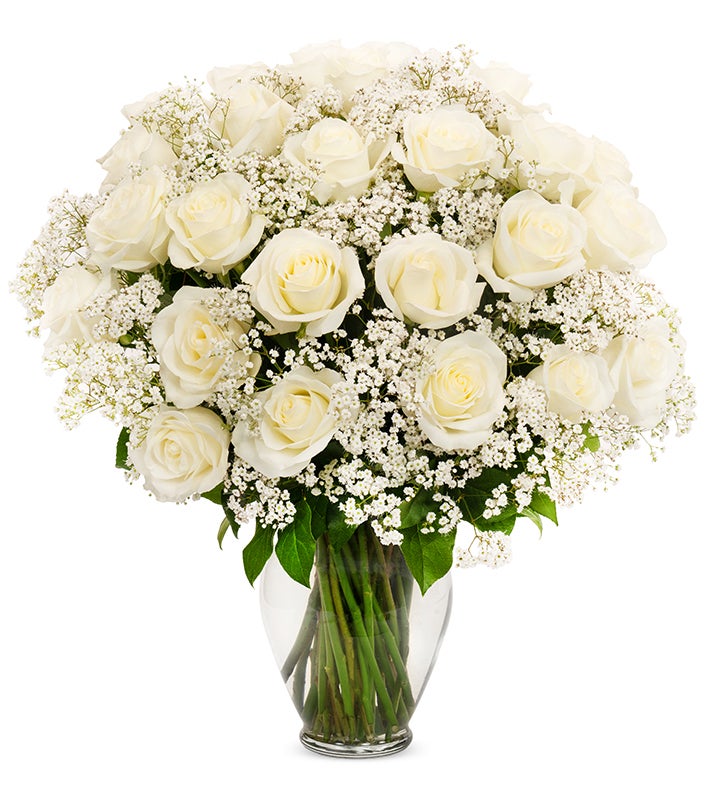 White Roses, 36 6 Stems