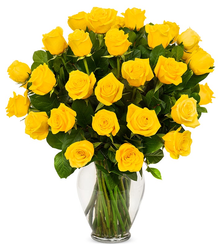 Yellow Roses, 36 6 Stems